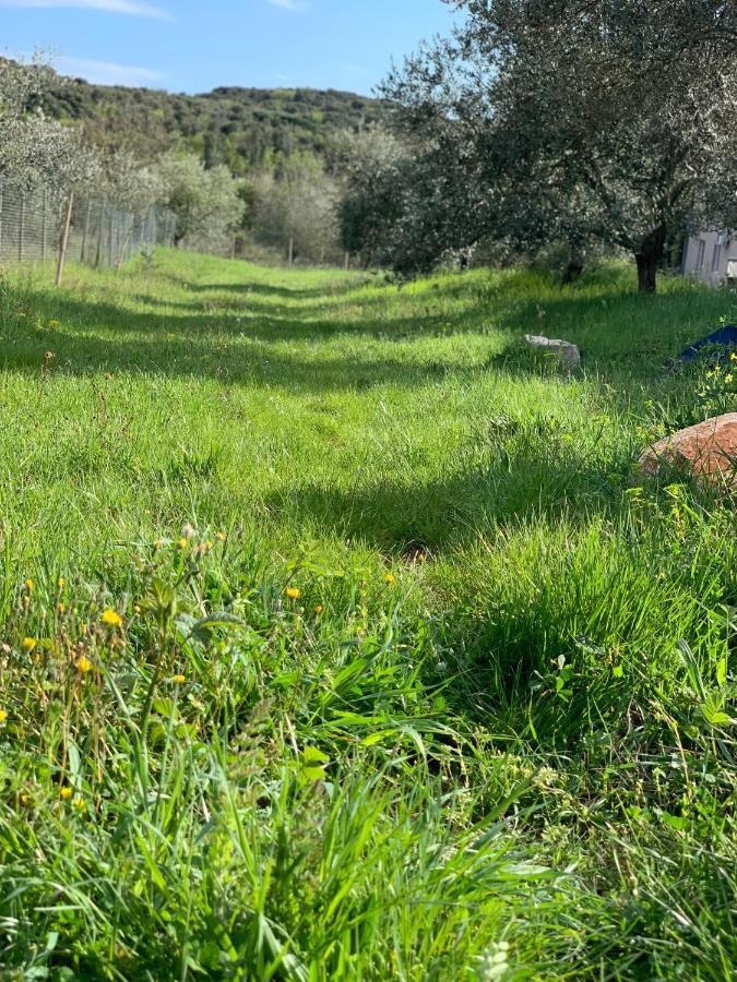 Il Giardino Degli Ulivi 호텔 로비니 외부 사진